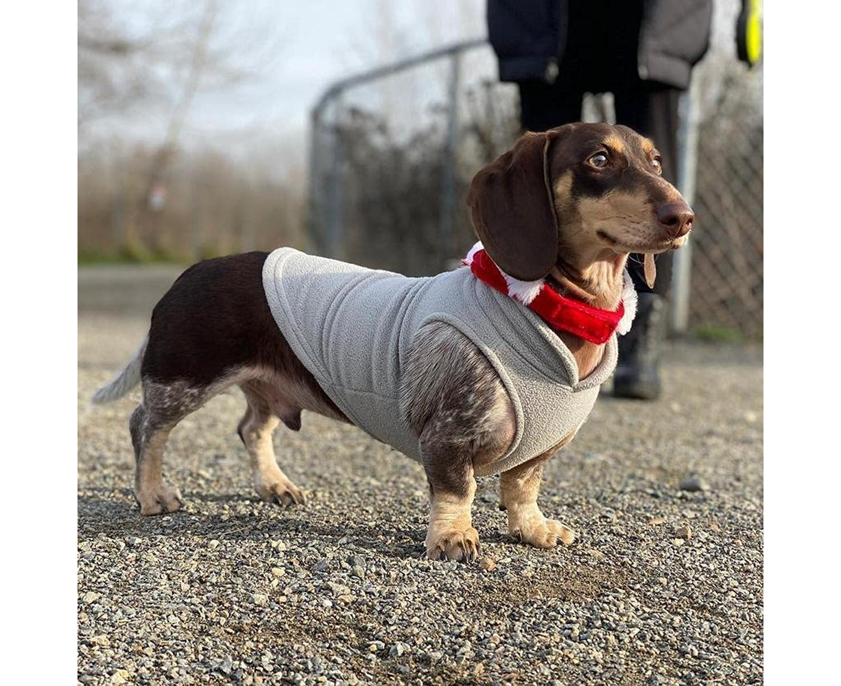 Warm Pullover Fleece Dog Jacket with O-Ring Leash - Winter Small Dog Sweater Coat - Cold Weather Dog Clothes