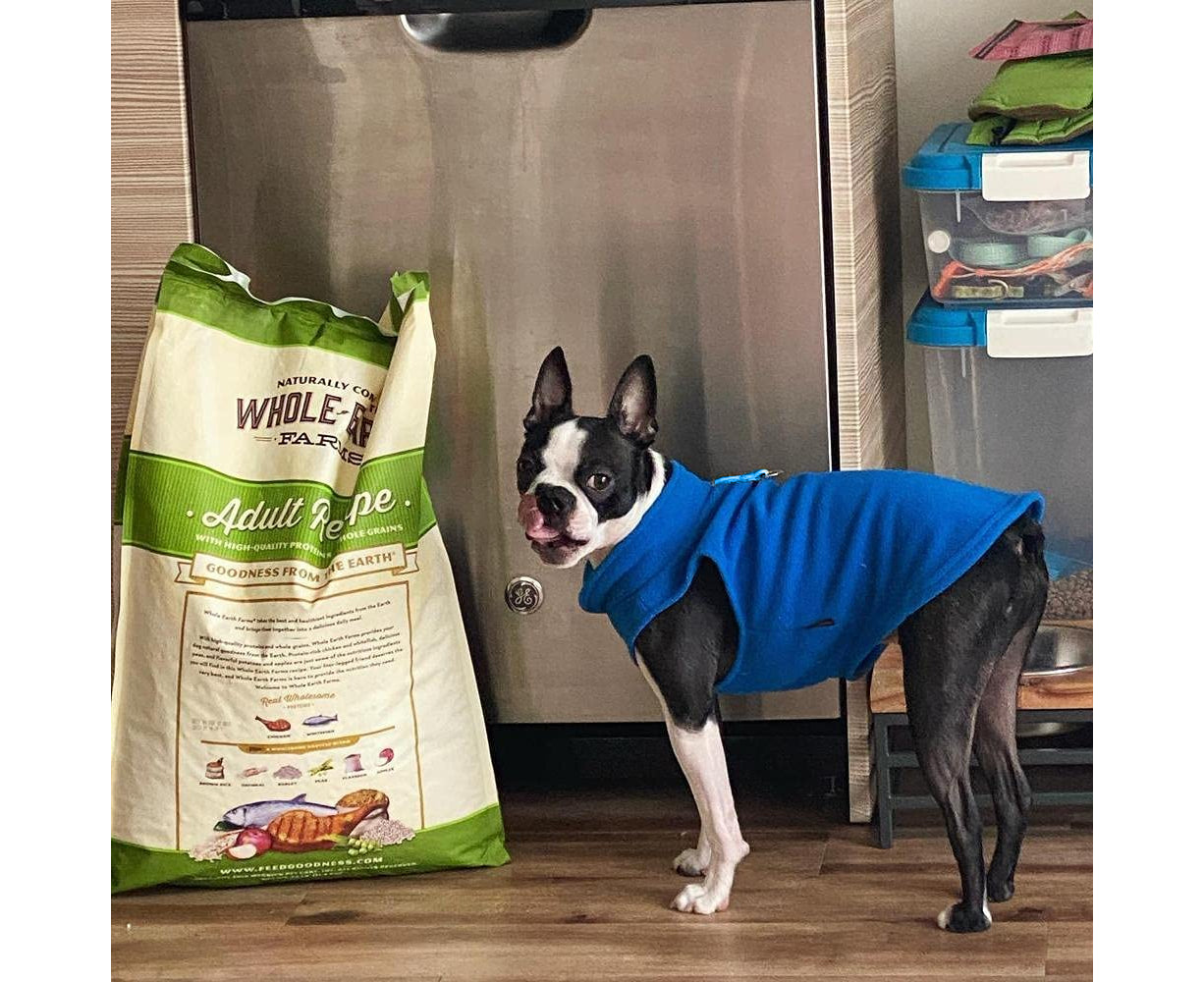 Warm Pullover Fleece Dog Jacket with O-Ring Leash - Winter Small Dog Sweater Coat - Cold Weather Dog Clothes