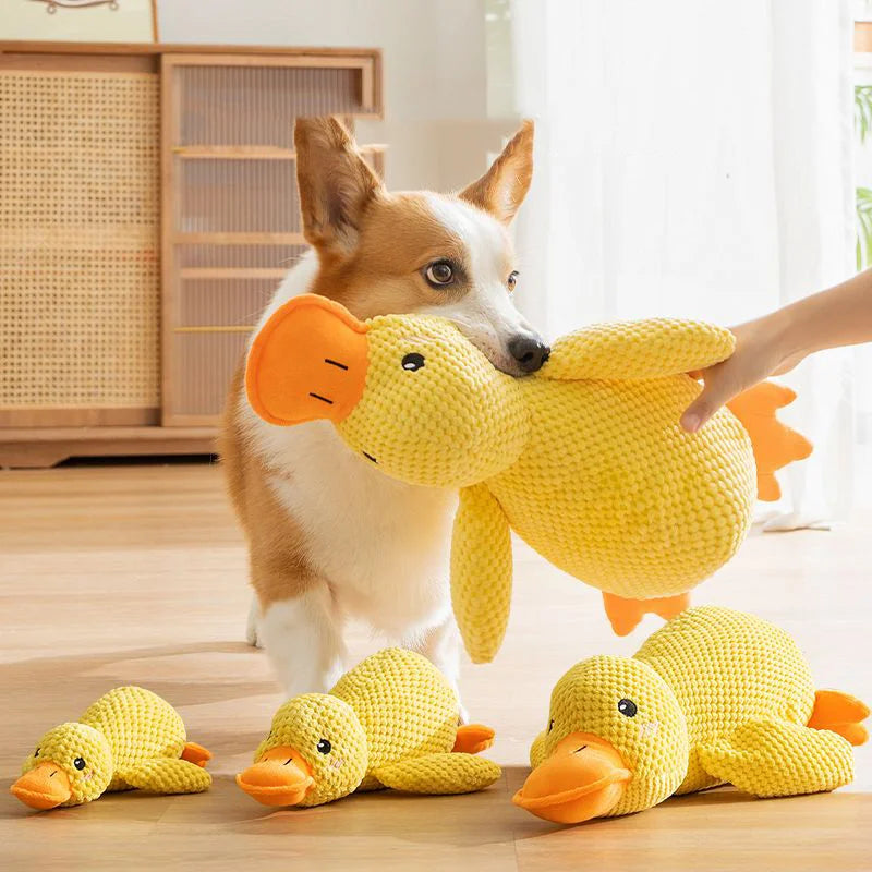 Plush duck dog toy