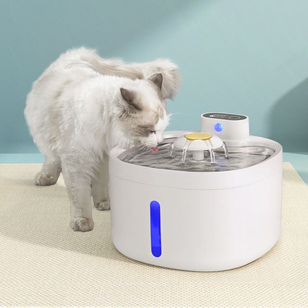 i.Pet Automatic Filtered Water Fountain 2.6L - for cats & dogs
