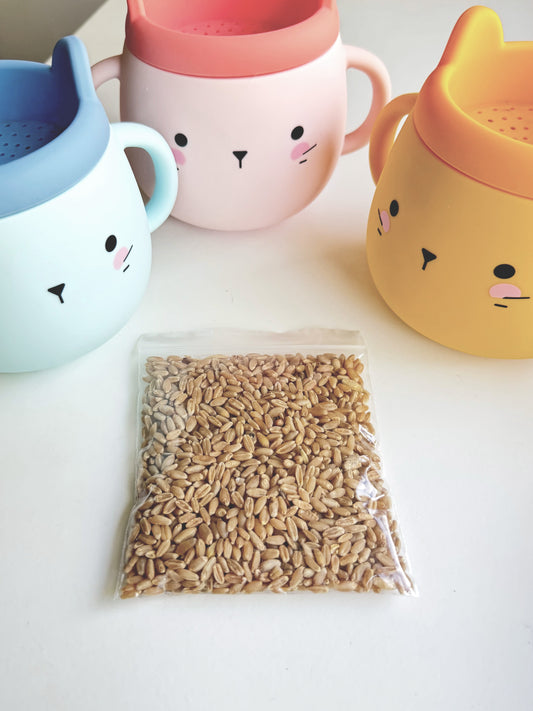 Whisker Wonderland Premium Cat Grass Seeds Refill (5 BAGS)