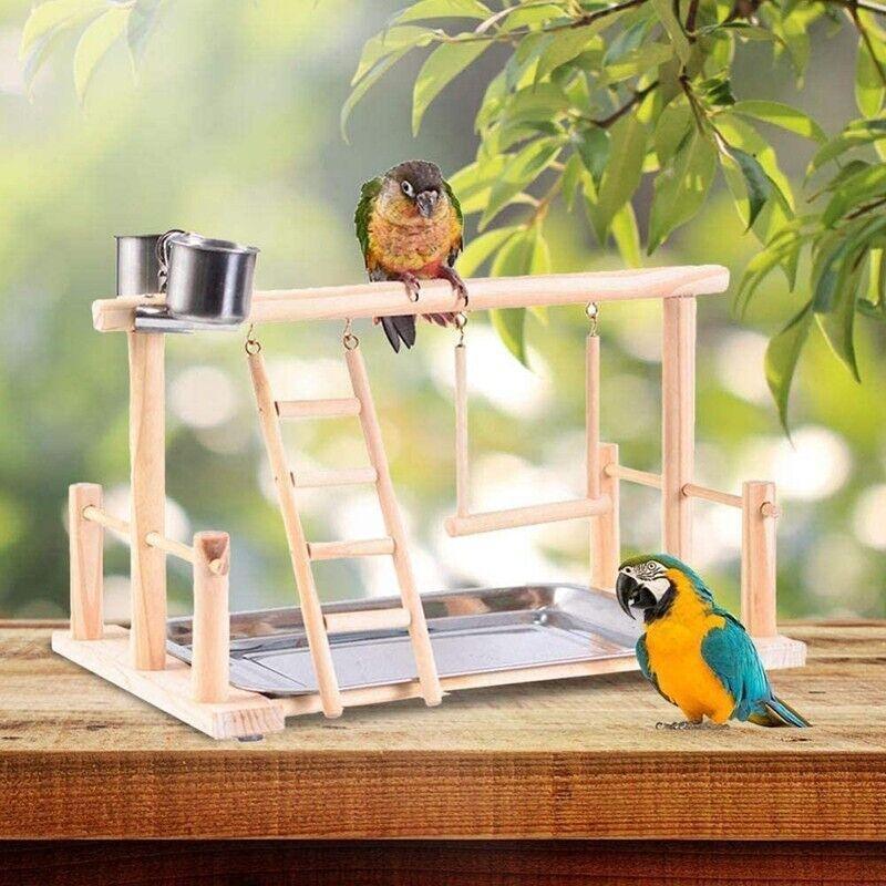 Parrots Wooden Stand Bird Play Activity Centre