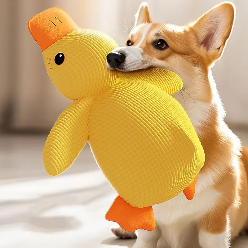 Plush duck dog toy