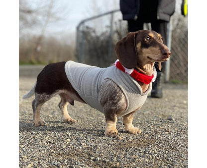 Warm Pullover Fleece Dog Jacket with O-Ring Leash - Winter Small Dog Sweater Coat - Cold Weather Dog Clothes
