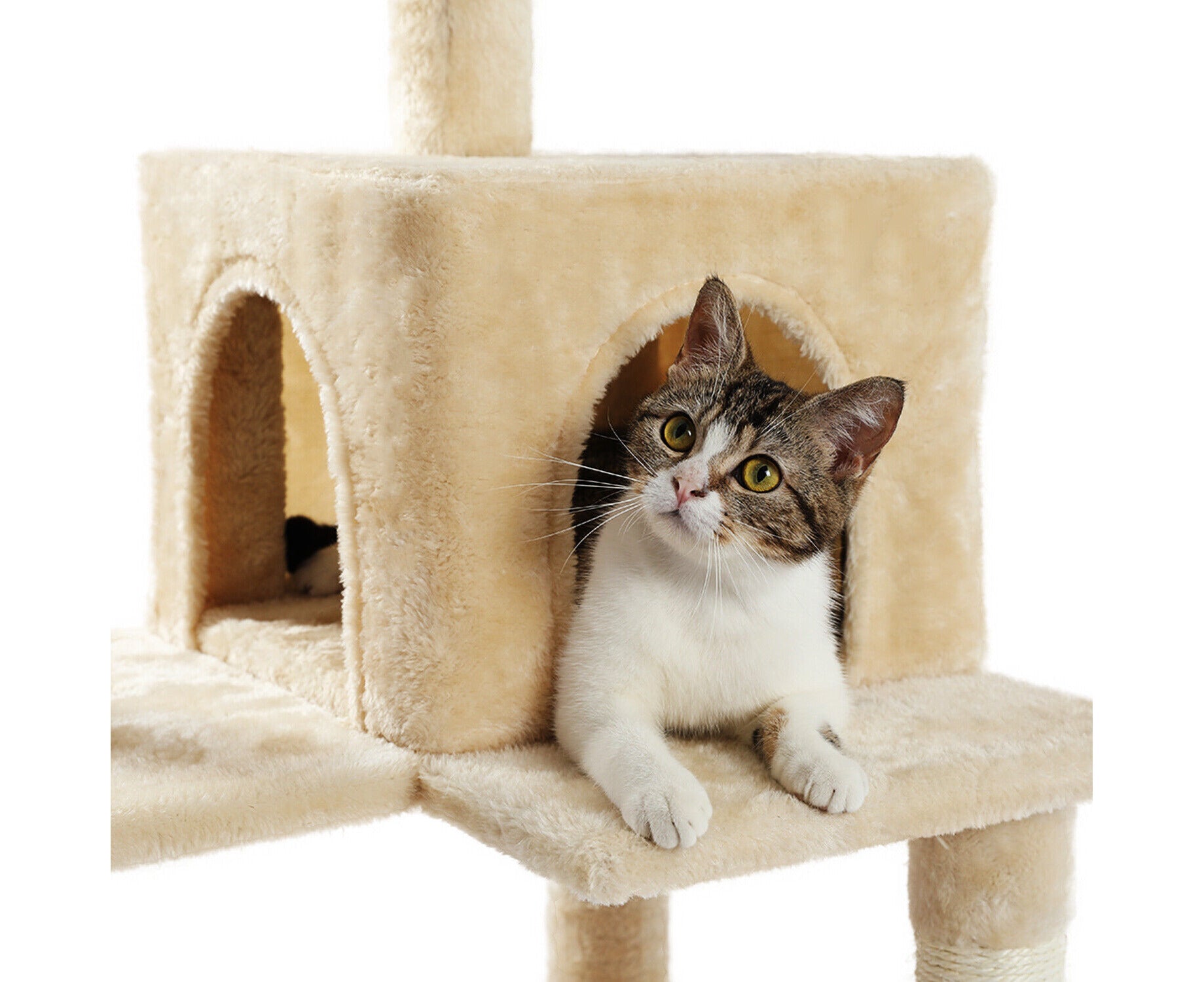 Road Cat Tree Tower Scratching Post Scratcher Wood Condo House Bed Cat Toys 143Cm