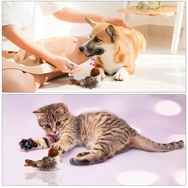 Sound Bird Toy Cat Feather Toys Cat Feather Toys Interactive Cat Toy with Sounds Sound Toys Cricket, Bird, Hedgehog, Mouse