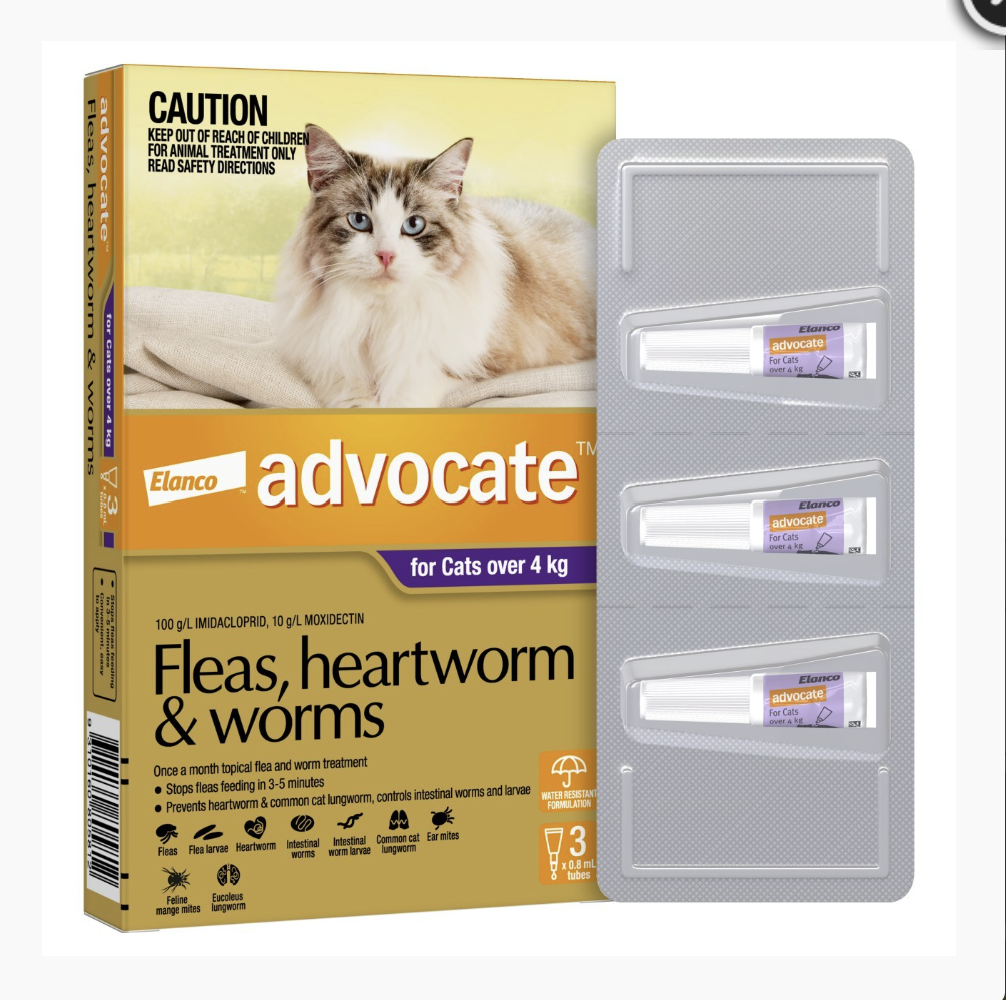 Advocate for Cats Over 4kg – 3 Pack | Flea, Heartworm & Worm Protection