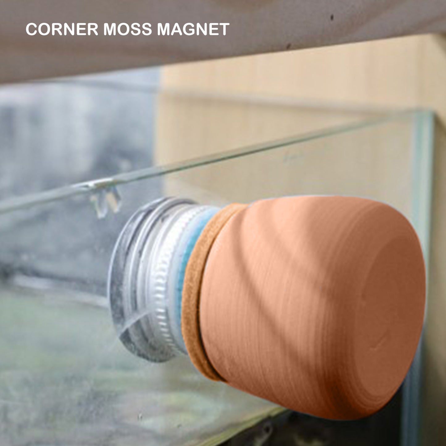 Corner Moss & Algae Magnet Glass Cleaner