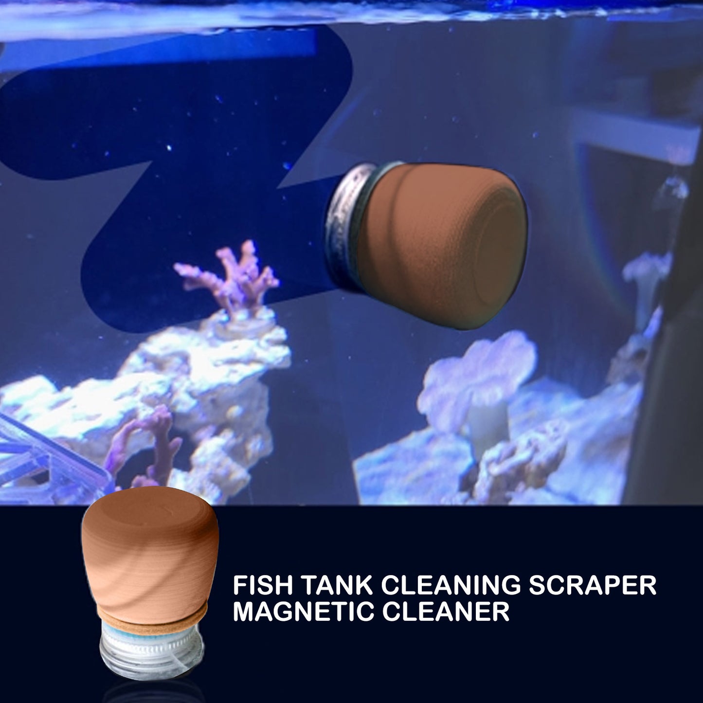 Corner Moss & Algae Magnet Glass Cleaner