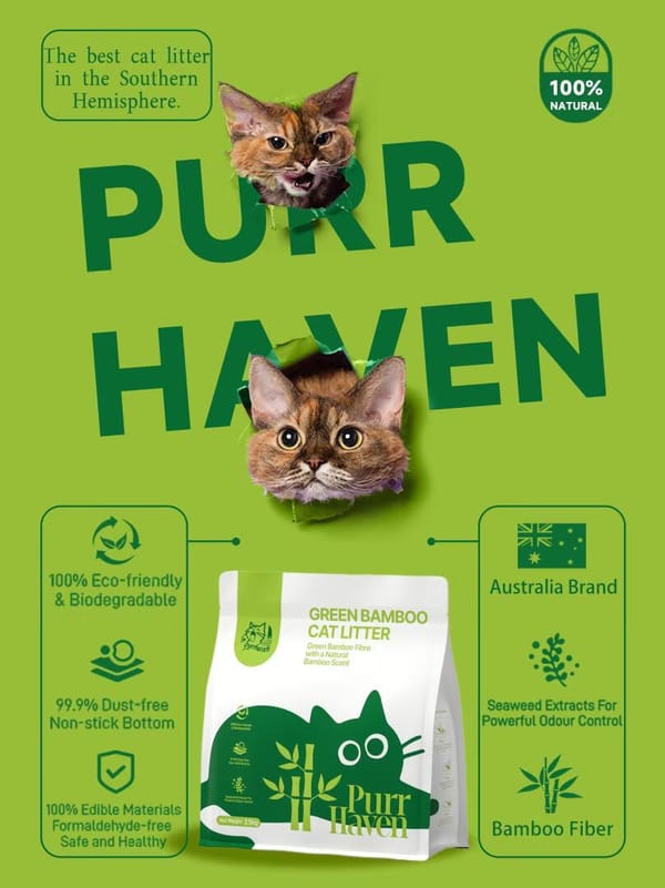 Purr Haven cat litter packaging with two cats on a green background