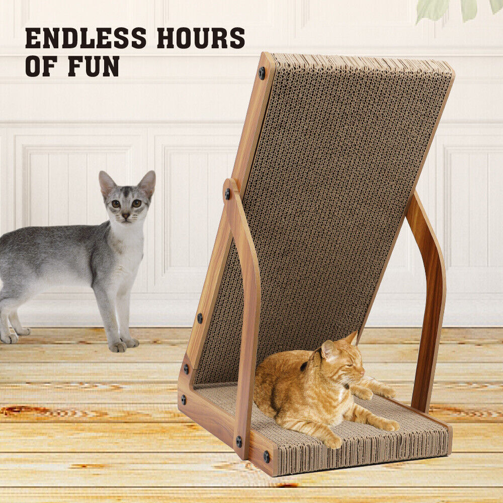 Two cats with a cat scratcher, on a wooden floor and the text 'Endless Hours of Fun' above.