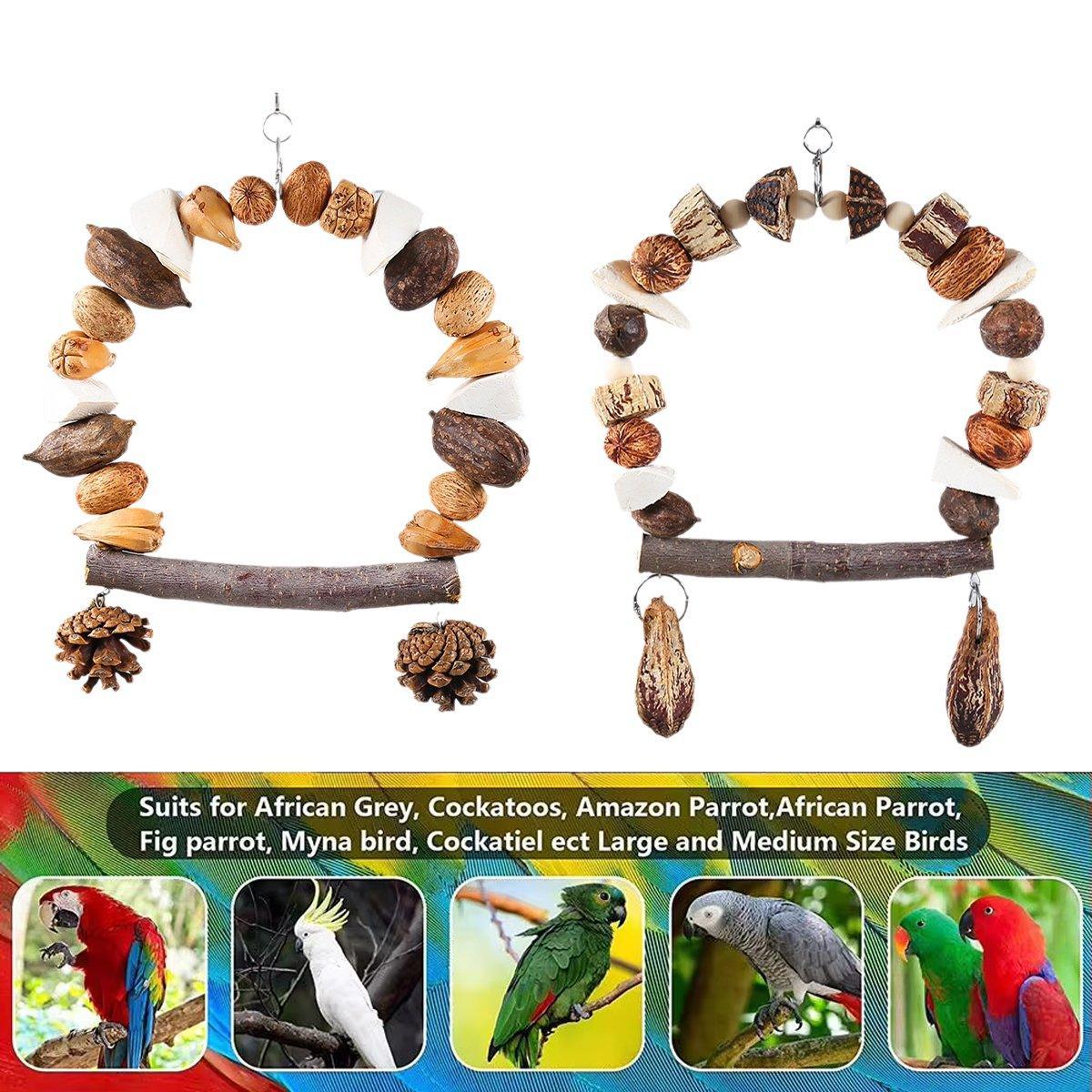 Parrot Bird Swing & Chew Toy with Pine Cones