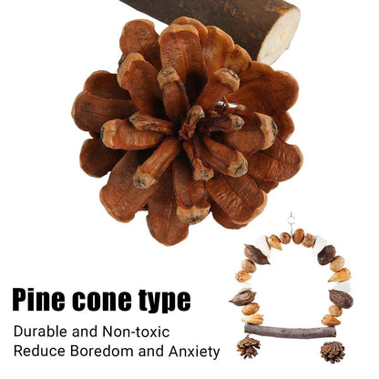 Parrot Bird Swing & Chew Toy with Pine Cones